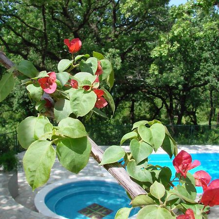 Poolside Apartments Miljan I Ranko Herceg Novi Exterior foto