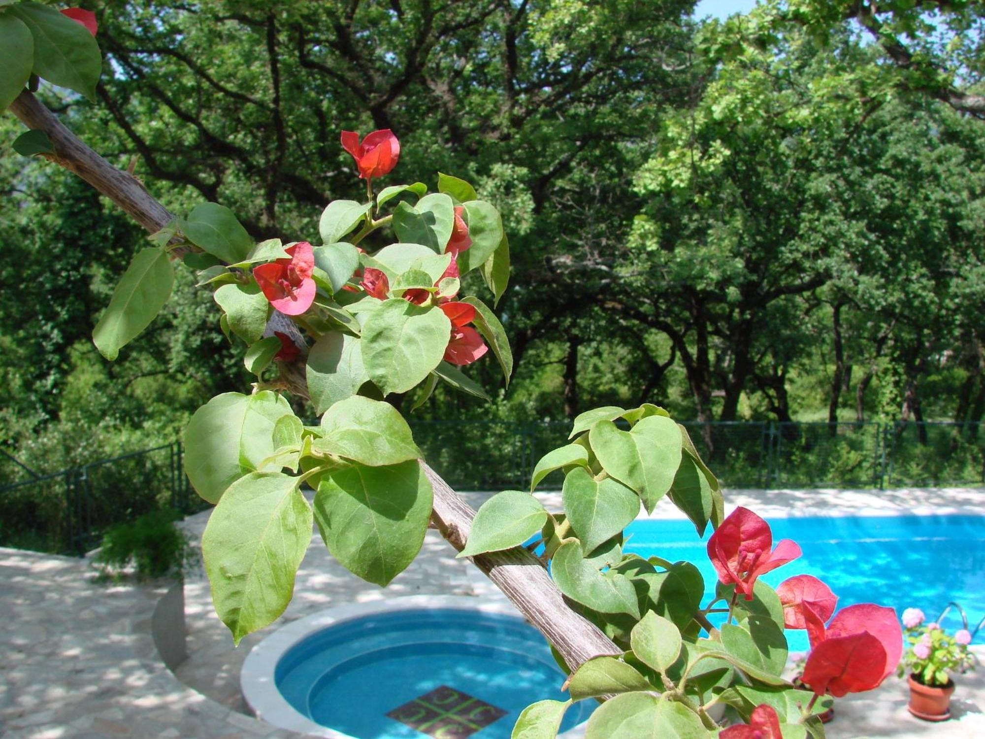 Poolside Apartments Miljan I Ranko Herceg Novi Exterior foto