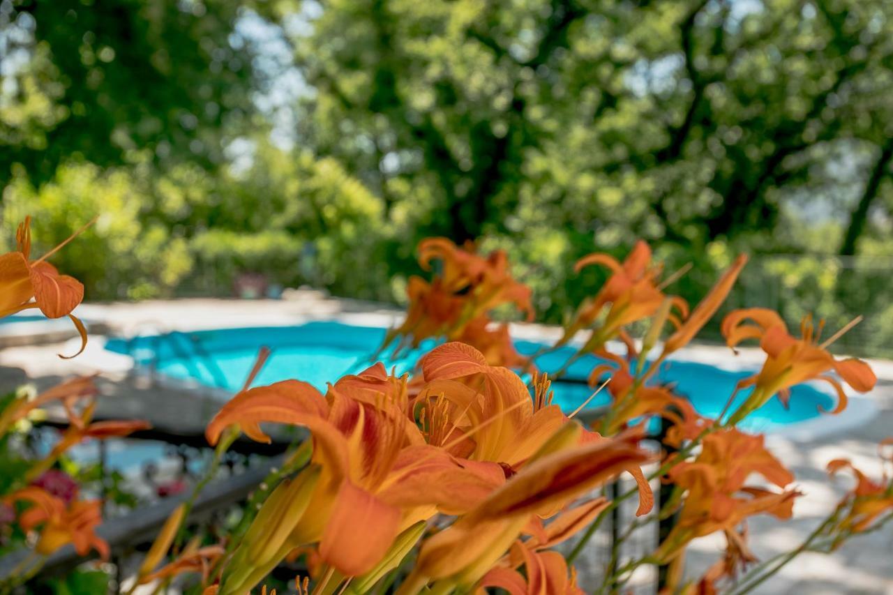 Poolside Apartments Miljan I Ranko Herceg Novi Exterior foto